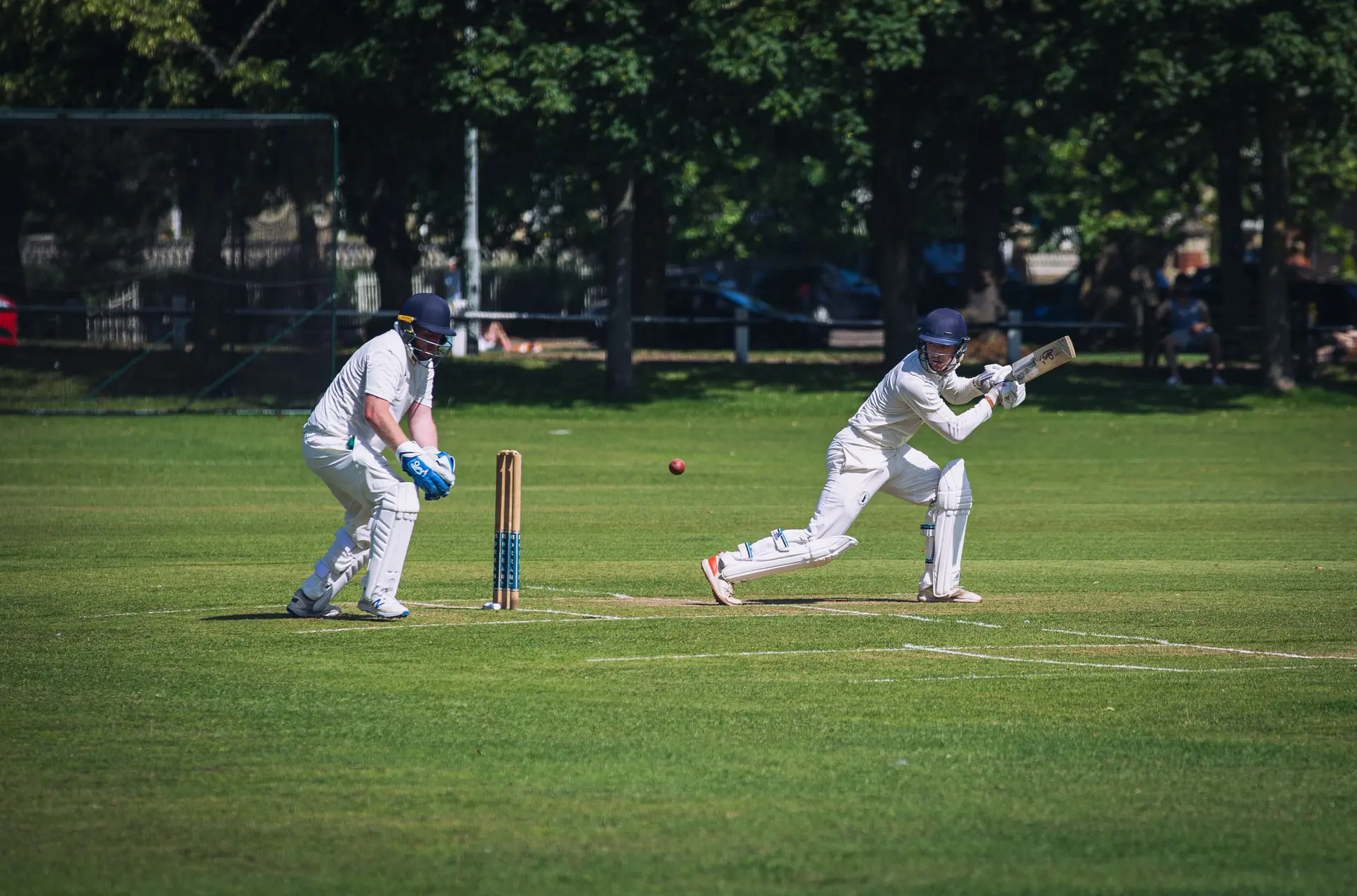 Supporting cricket imagery
